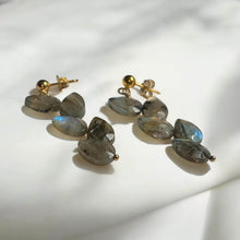 Load image into Gallery viewer, Flashy Labradorite Drop Earrings
