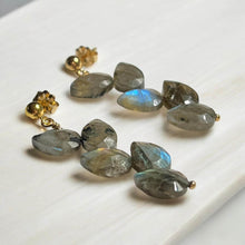 Load image into Gallery viewer, Flashy Labradorite Drop Earrings
